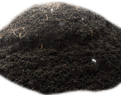 Vermi Compost